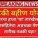 Ladki Bahin Yojana November Installement